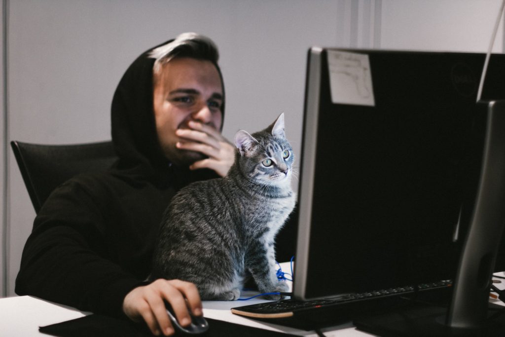 Remote worker with cat